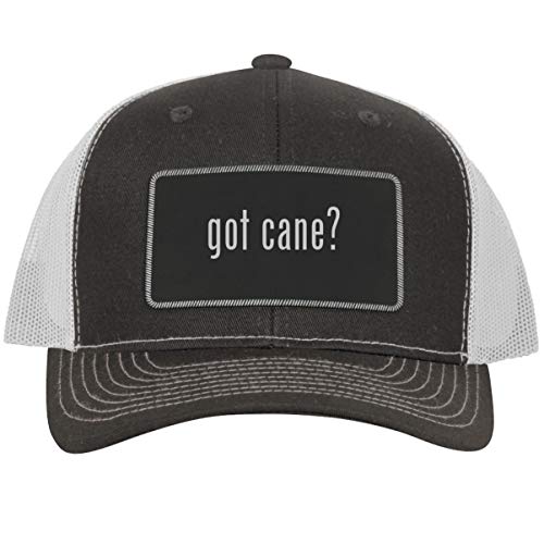 got Cane? - Leather Black Metallic Patch Engraved Trucker Hat, Grey-White, One Size
