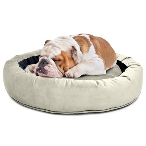 Image of Velvet Dog Bed in Round Shape | Small 60 Cm | Premium Velvet Pet Bed for Cats and Puppies | Soft & Cozy Sleeping Bed for Dog with Removable Insert | Black & Cream