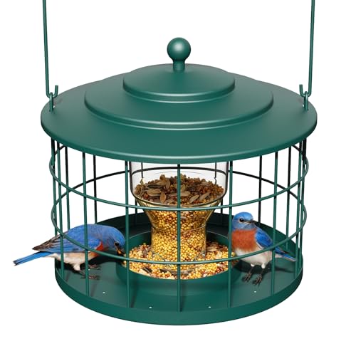 Squirrel Proof Bird Feeder, Metal Cage Bird Feeder for Outdoors Hanging, Starling Resistant Design for Small Birds, Weatherproof with Drain Holes, Easy to Refill, Green