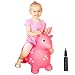 Bouncy animal, bouncy horse inflatable with pump by NDN LINE