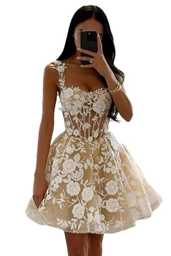 A-line Short Tulle Party Dress for Women, Lace Appliqued Wedding Dress for Bride Prom Gown Homecoming Gown