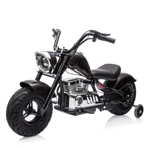 36V 350W Kids Electric Dirt Bike