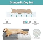 COZY KISS Lit de chien orthopédique pour grand chien, XL Chien Lit de caisse, L en mousse en forme de fond antidérapant Sofa chat avec couvercle amovible lavable, adapté pour les animaux de compagnie jusqu'à 100 C'est vrai. 44x32x7 de pouce, gris