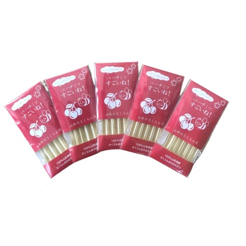  I ̃n`~cˁIY ݂͂XeBbN 2.5g×6{×5 X̊wZ R`Y (1)