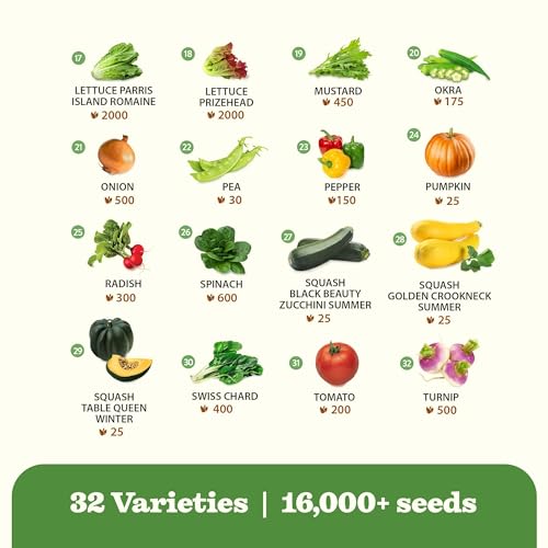 Image of 32 Heirloom Vegetable and Fruit Seeds for Planting - 16,000+ Seeds | Non-GMO Survival Seed Vault | High Germination | 32 Varieties of Vegetable Seeds for Your Home Survival Garden