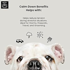 Calming Chews for Dogs – Dog Calming Treats for Anxiety & Stress Relief with Melatonin and Ginger – Aid with Storms, Grooming, Fireworks, Separation, Travel, Motion Sickness, & Sleep – 120 Chews