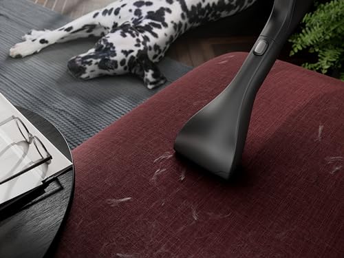 AEG Animal 8000 Staubsauger mit Beutel, Testsieger der Stiftung Warentest, hohe Saugleistung, Auto-Modus, 48% Recyclingkunststoff, Tierhaardüse, HEPA-Filtration, 12m, LED-Licht, AB81A2DG