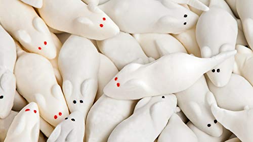 1.100g Weisse und graue Riesenmäuse | Aseli | Mäusespeck | Schaumzucker-Ware | Schaum-Mäuse | Speckmäuse | Schaumzucker-Figuren handgefertigt | glutenfrei | laktosefrei