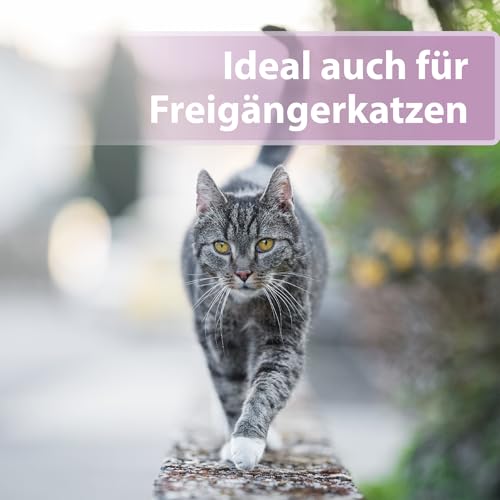 Felisept Pfotenpflege für Katzen 75g - Pfotenpflege Katze - Pfotenbalsam Katze - Schützt vor Austrocknung und Rissen - Schnell einziehend, ohne Fettfilm - Reichhaltige Pflege und Feuchtigkeit