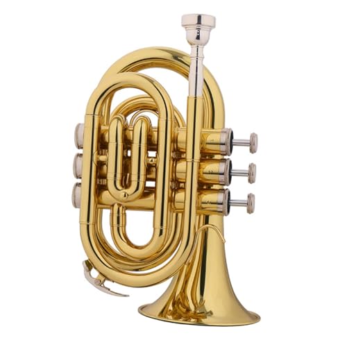 Trumpets for Beginner Trumpet B Flat Beginner Exam Wind Band Lacquered Brass Instrument(MT500)