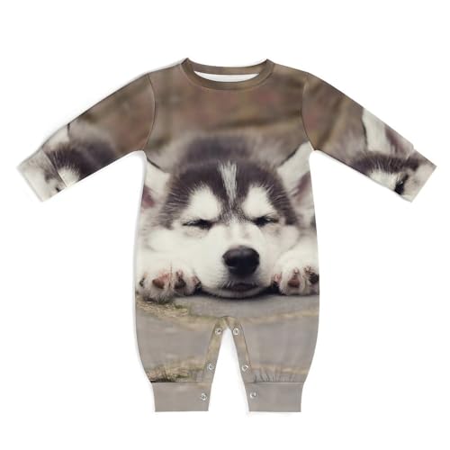 [STEBVI] p[X nXL[  xr[  Jo[I[ ̎q j̎q Ԃ OJ pW} V c 킢  _炩  QԒ oYj v[g 6-9M