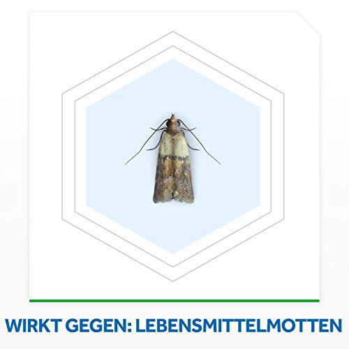 Raid (Paral) Lebensmittel-Mottenfalle, zur Bekämpfung von Motten in der Küche, 3 Stück