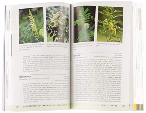 Medicinal Plants and Herbs of Eastern and Central North America: Third Edition