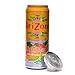 Mango Diversion Safe Soda Stash Can Hide Cash Jewelry Large Hidden Container