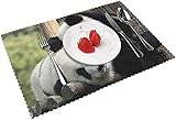 Bandana de Oso Panda para tapetes de Mesa de Vinilo Tejido R
