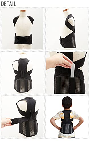 Amazon | せのび〜るキッズ 子供用 背筋 姿勢 補正ベルト 矯正ベルト