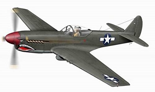 129-PLT104 - 1/48 XP 40Q-2 Warhawk, ultima versione