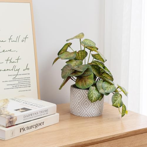 MyGift Planta artificial Aglaonema com folhas verdes e vermelhas em vaso de concreto cinza com padrã
