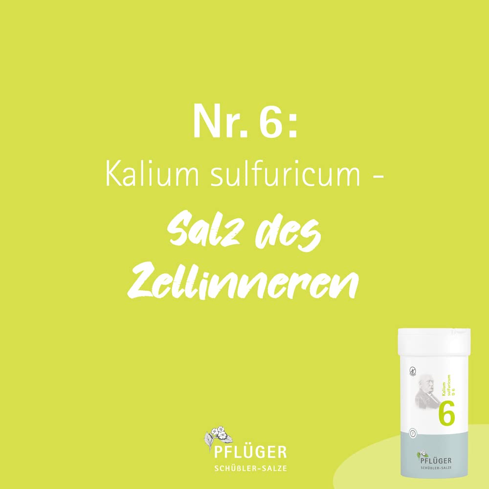 PFLÜGER Schüßler Salze Nr. 6 Kalium sulfuricum D6 - 1000 Tabletten - Das Salz der Entschlackung - glutenfrei