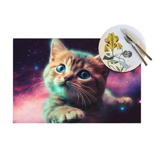 Set de table chat bébé durable lavable en PVC imprimé galaxie x6 - 6