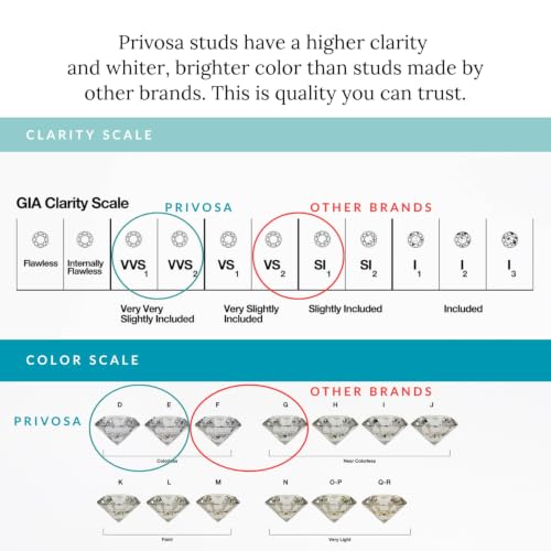 Image of Privosa - Lab Grown Diamond Stud Earrings in 14K Gold
