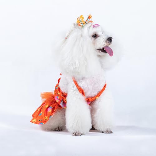 Image of CuteBone One Piece Dog Bikini Swimsuit Dress - Puppy Bathing Suit Costume for Small Dogs - Comfortable & Stylish Pet Clothes for Summer Pool, Beach & Play LTDB05XXS