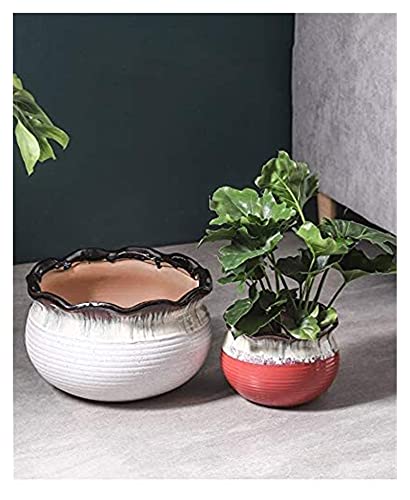 Pot de fleurs intérieur pour phalaenopsis préservant la fraîcheur