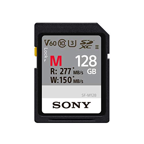 Preisvergleich Produktbild Sony 128 GB