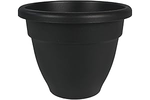 HC Companies 10 Inch Caribbean Planter: Indoor and Outdoor Herb and Flower Pot