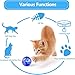 Sratte 6 Pieces Ghost Hunting Cat Ball Activated Cat Toy Motion LED Light Pet Balls Motion Dog Interactive Toys Pet Glowing Mini Running Exercise Supplies for Animals Activity(Clear)