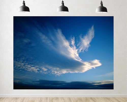 Trykid 12x8ft Wispy Clouds Bird Shape Backdrop Deep Blue Sky