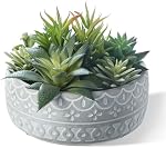 6inch Artificial Succulent Plants in Pots,Fake Succulents with Gray Ceramic Pot for Home Office Desk Bathroom Coffee Table Decor