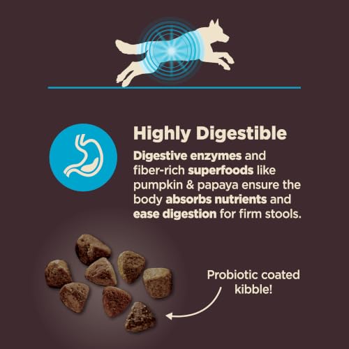 Wellness CORE Digestive Health Adult Dry Dog Food, Wholesome Grain Kibble, Sensitive Stomach, Natural, High Protein, Chicken Free, Whitefish and Brown Rice Recipe, 4 lb Bag - image 4
