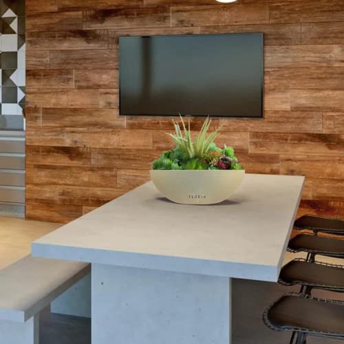 Vaso Bacia 35cm Rosa Do Deserto Cuia Plantas E Suculentas N2 (Bege)