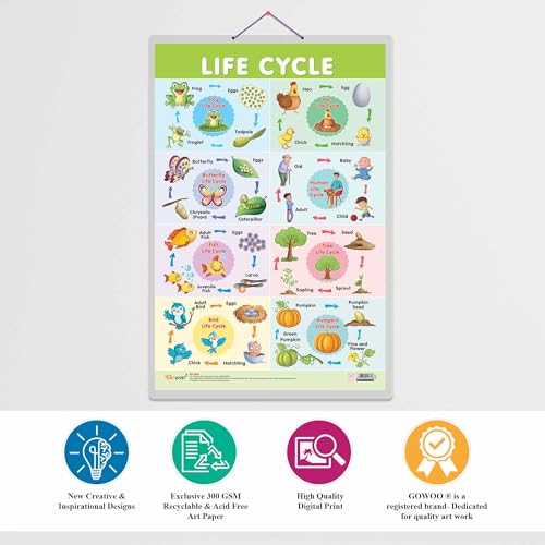 Image of GO WOO Life Cycle Chart and GIRAFFE HEIGHT CHART | Set of 2 charts 1 Educational + 1 Height Chart | Interactive Set of Life Cycle Chart and Giraffe Height Chart for Fun-loving Kids