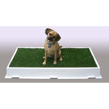 fake grass for dogs petsmart