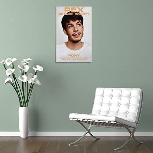 Impression sur toile Rex Orange County Pony 50x75 cm poster chambre - 5