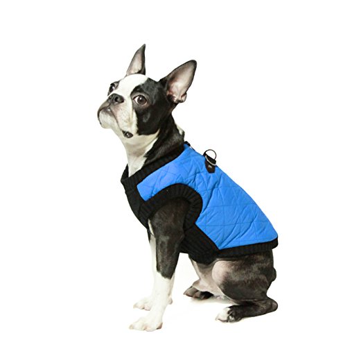 Gooby Fashion Vest Dog Jacket - Blue, Large - Warm Zip Up Dog Bomber Vest with Dual D Ring Leash - Winter Water Resistant Small Dog Sweater - Dog Clothes for Small Dogs Boy or Medium Dogs