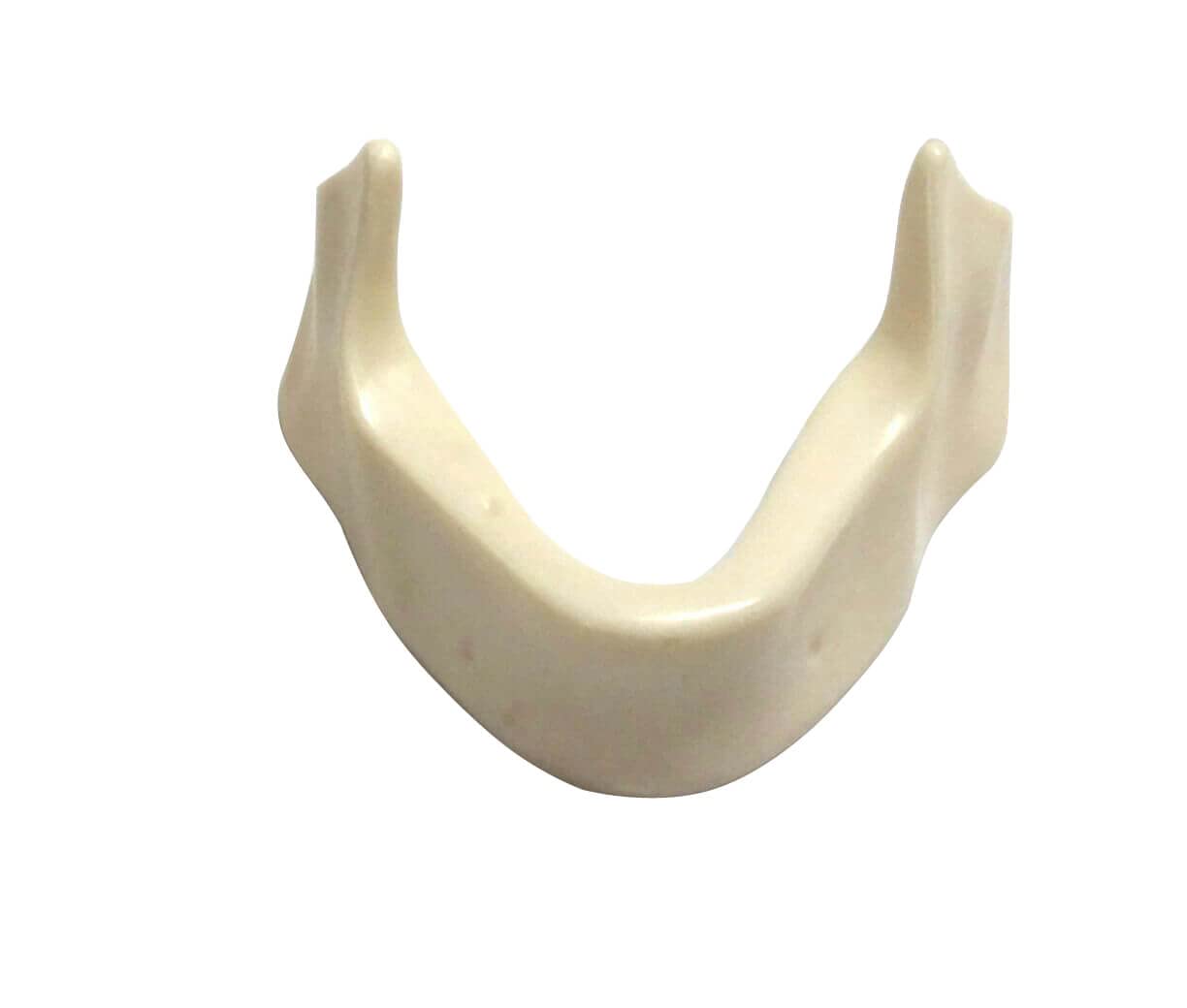 iDENTical Implant Practice Mandible Jaw Model M2025 (1 Piece) (B0BWRCTML9) Amazon Price History, Amazon Price Tracker