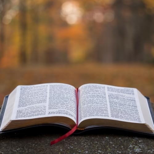 6/21/2026 | Abner&rsquo;s Revolt | 2 Samuel 2:12-30