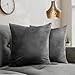 Housse Coussin 55x55 cm en Velours Gris Foncé (Set de 2) - pour Coussins Decoratifs pour Canapes - Housses de Coussin Oeko-TEX - Coussin Decoratif Lit - Housse Oreiller Dreamzie