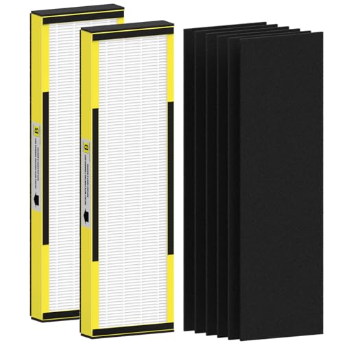 2 Packs FLT4825 HEPA Replacement Filter B Compatible with AC4825 AC4825E AC4300 AC4800 AC4900 AC4850, 2 True HEPA Filters & 6 Activated Carbon Pre-Filters