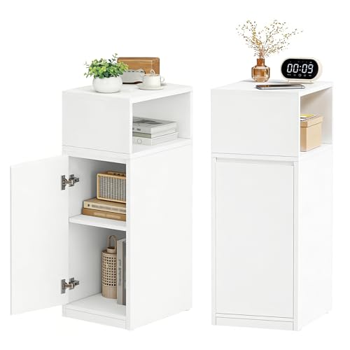BEWISHOME Comodino StrettoSet di Due Pezzi, Vano Portaoggetti Aperto Con Anta, Ripiani Regolabili in Altezza, 65x25x30 cm, Design Moderno per Camera da Letto e Soggiorno, Bianco, EFCG13W