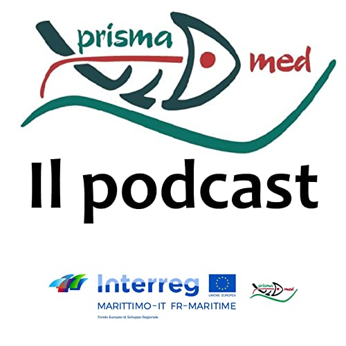 P.Ri.S.Ma. MED - Il podcast cover art