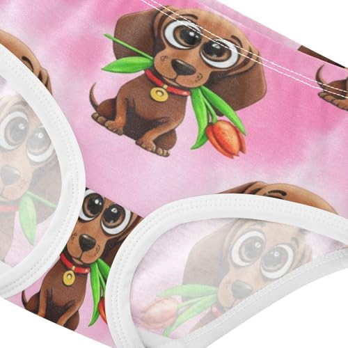 Cute Dachshunds Toddler Girls Underwear 2t Cotton Panties for Girl Personalized Underpants Briefs4