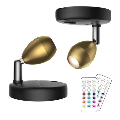 2Pack Battery Operated Spotlight,LED Wall Picture Light with Remote,Wireless Picture Lights for Wall,Timer&Dimmable Accent Light,Display Art Light for Dartboard Painting Artwork Gallery Portrait