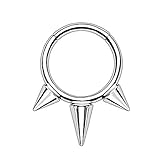 Pierced Owl 16GA G23 Implant Grade Titanium Spiked Cartilage Helix Daith Septum Hinged Segment Ring (Silver Tone)