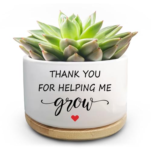 Thank You Gifts for Teacher, Succulent Plant Pot, Flower Planter ...