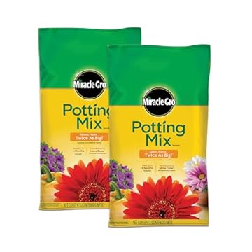 Top 5 Indoor Plant Soils That Will Transform Your Tomato Garden 2 best indoor plant soil for tomatoes