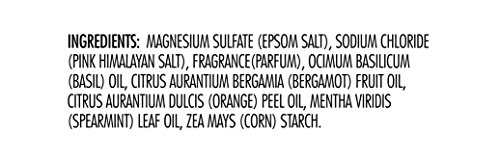Image of Dr Teal's Epsom Salt Soaking Solution, Relax & Relief, Eucalyptus and Spearmint, 4 Count - 3lb Bags, 12lbs Total